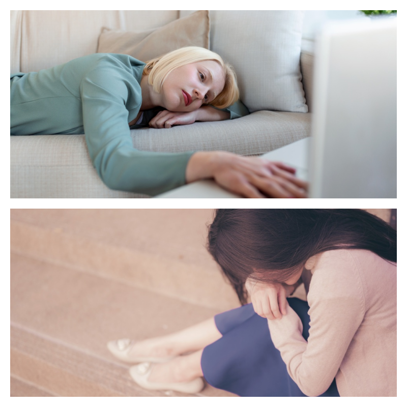 갱년기 건강기능식품 가격정보 선물용