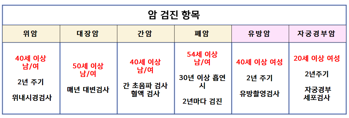 2023 국가건강검진