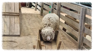 아이와 함께하는 여행이라면 프렌쥬랜드