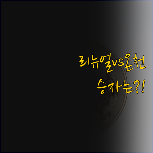 2024년 리뉴얼 vs 천연 온천 나..