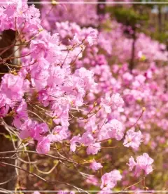 화담숲-예약하기-입장료-운영시간