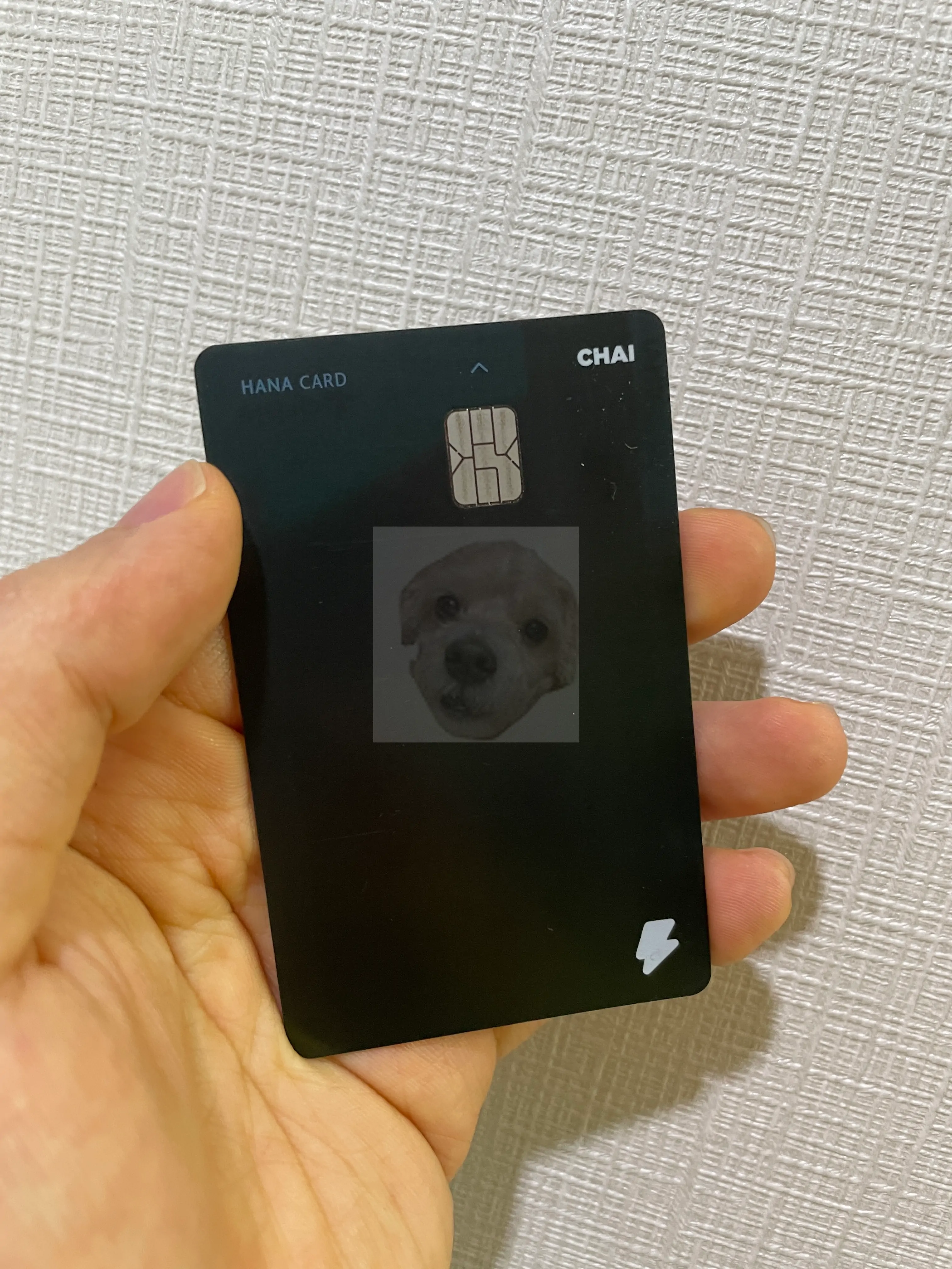 할부 사용하는 카드들