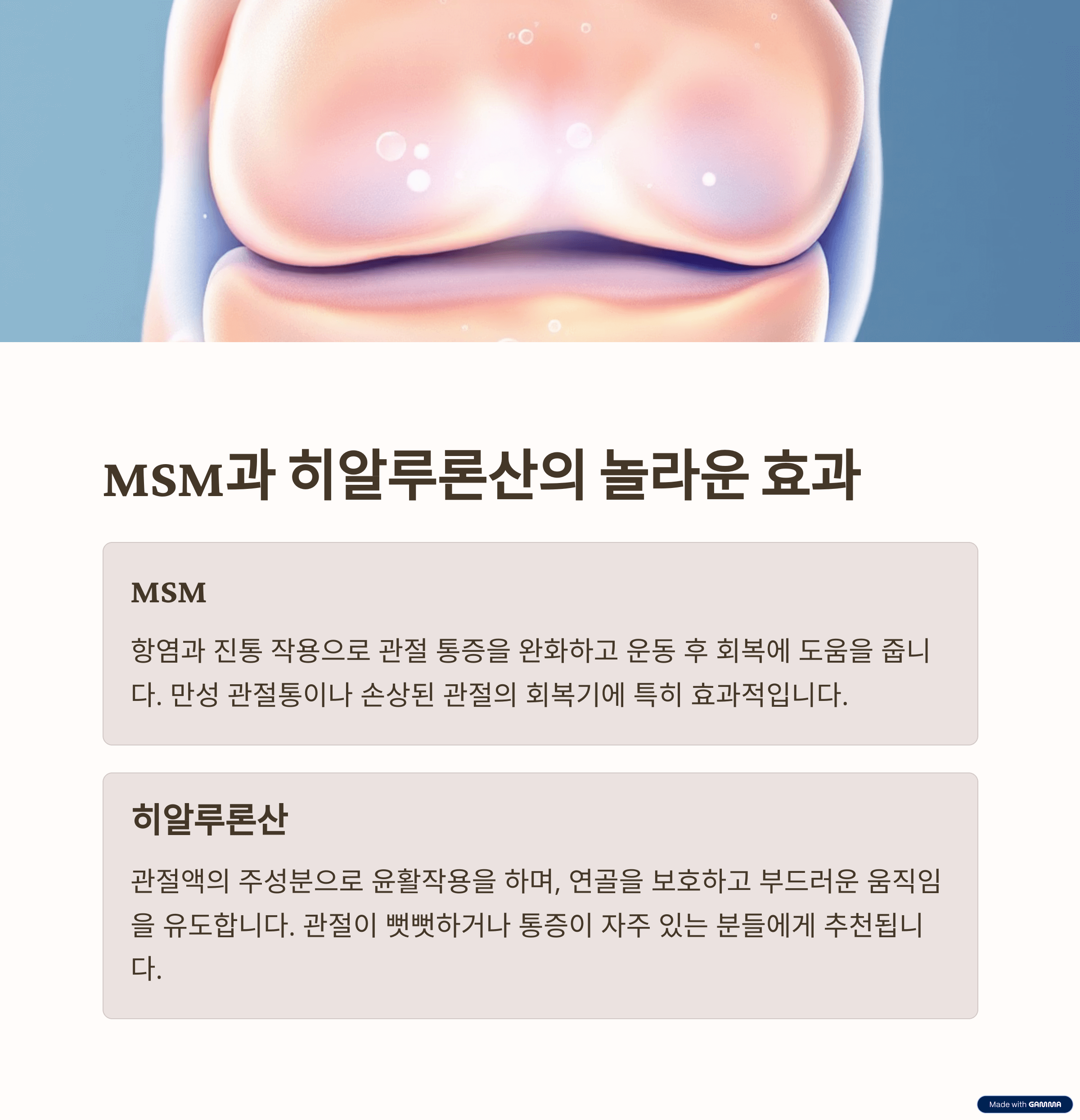주요 성분별 효능 정리
