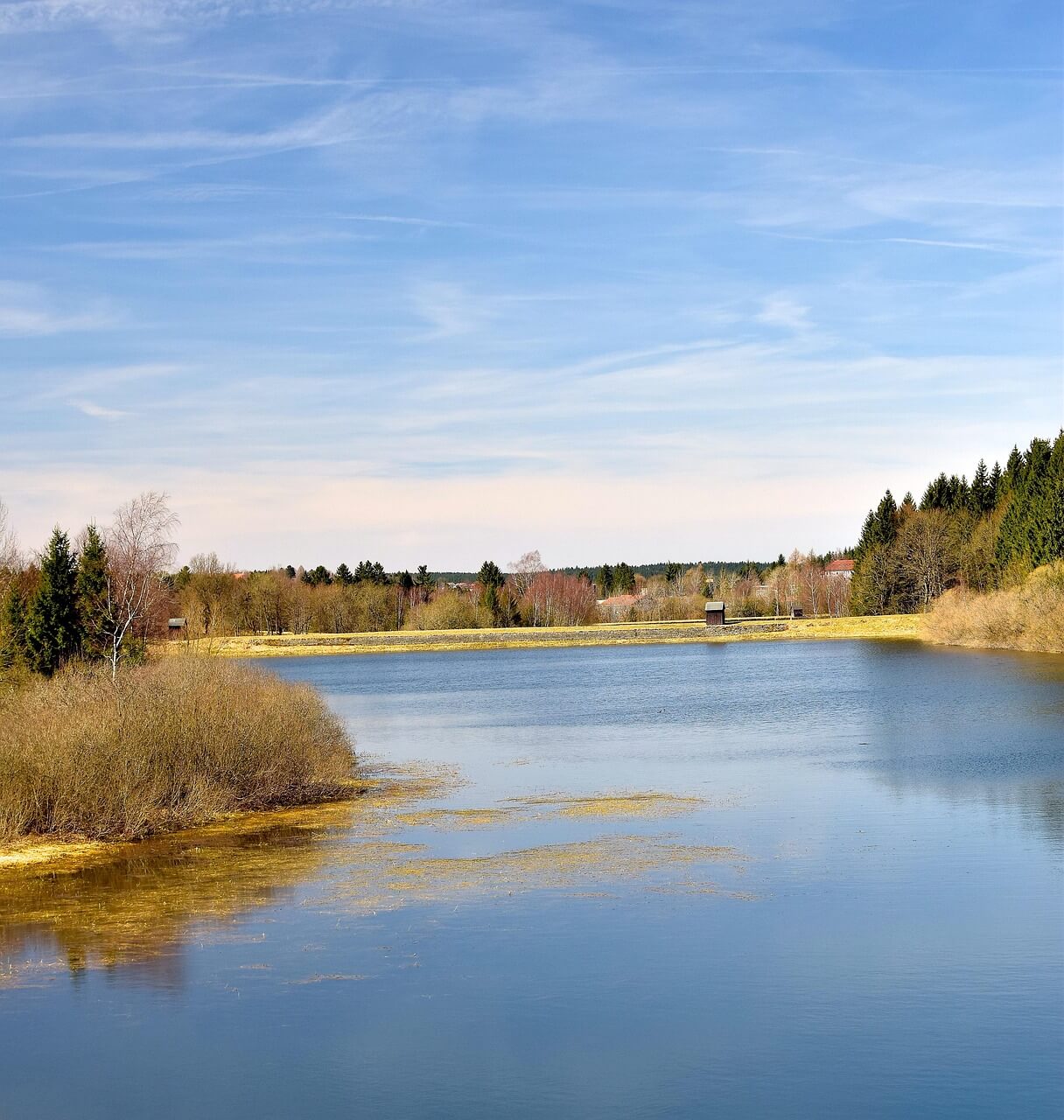독감 예방접종 무료 대상·비용·시기