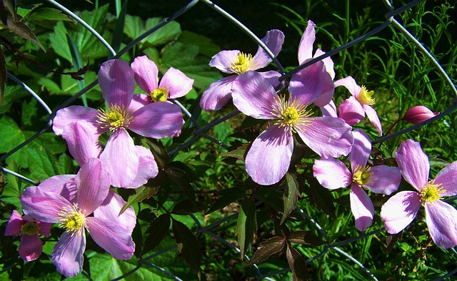 류마티스 관절염 초기증상 10