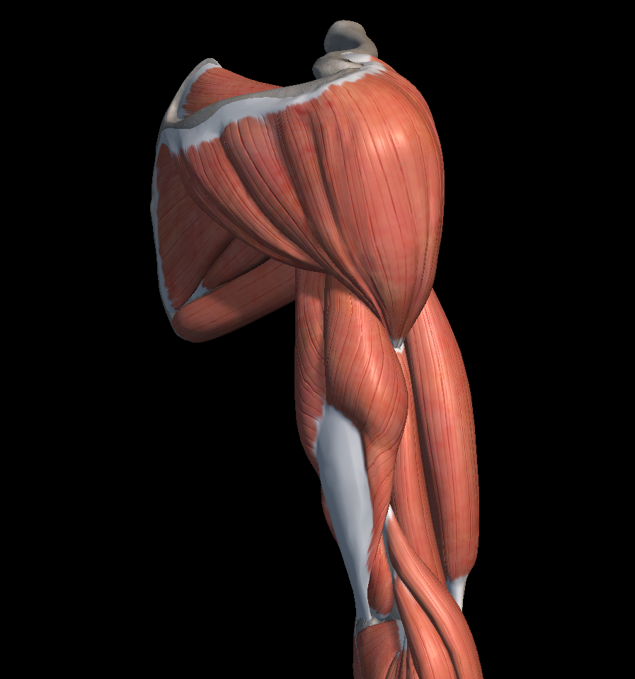 어깨 통증 원인 증상 치료법