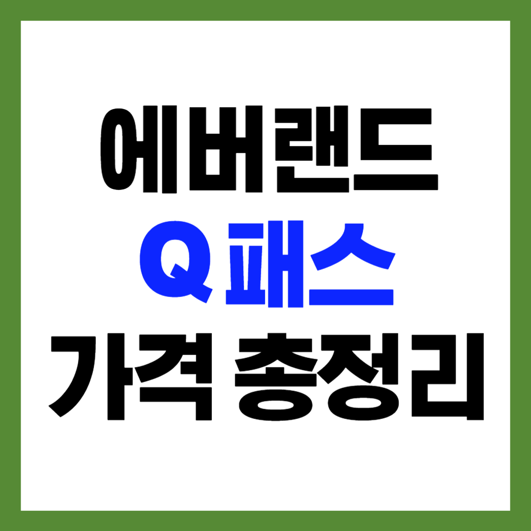 에버랜드 큐패스 가격