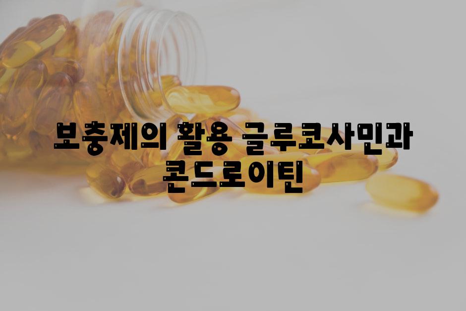 보충제의 활용 글루코사민과 콘드로이틴