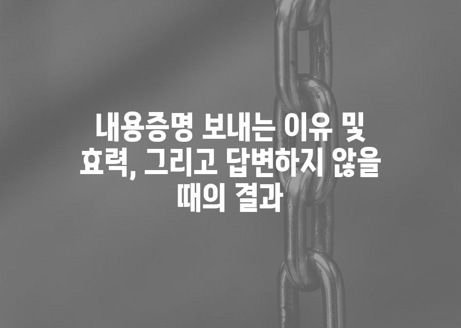 샘플 (61)