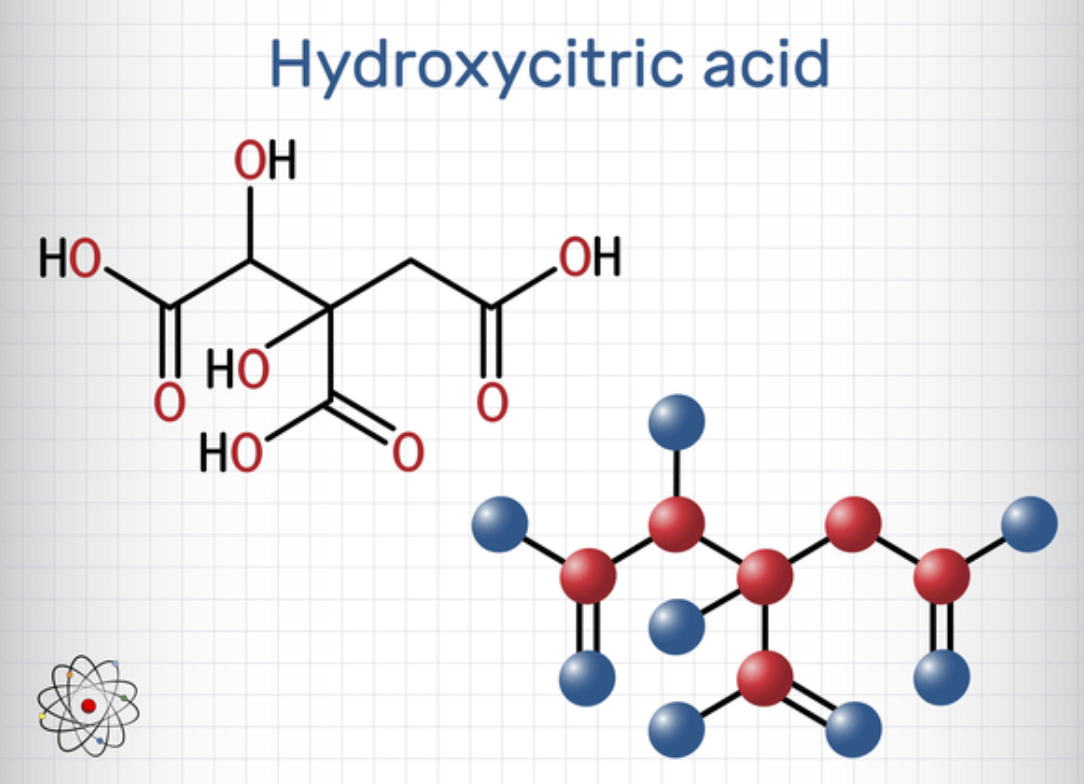 가르시니아 성분