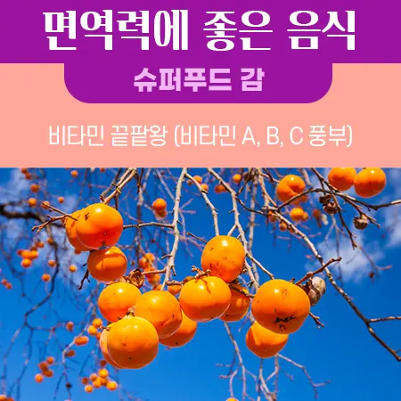 슈퍼푸드