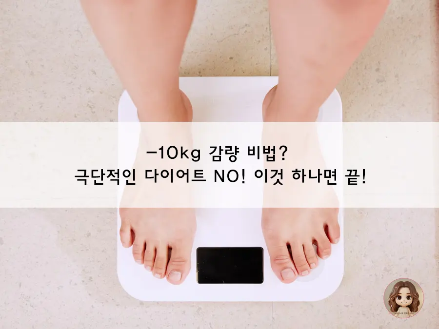 에너지 균형의 핵심, 포션 컨트롤을 실천해야 하는 이유