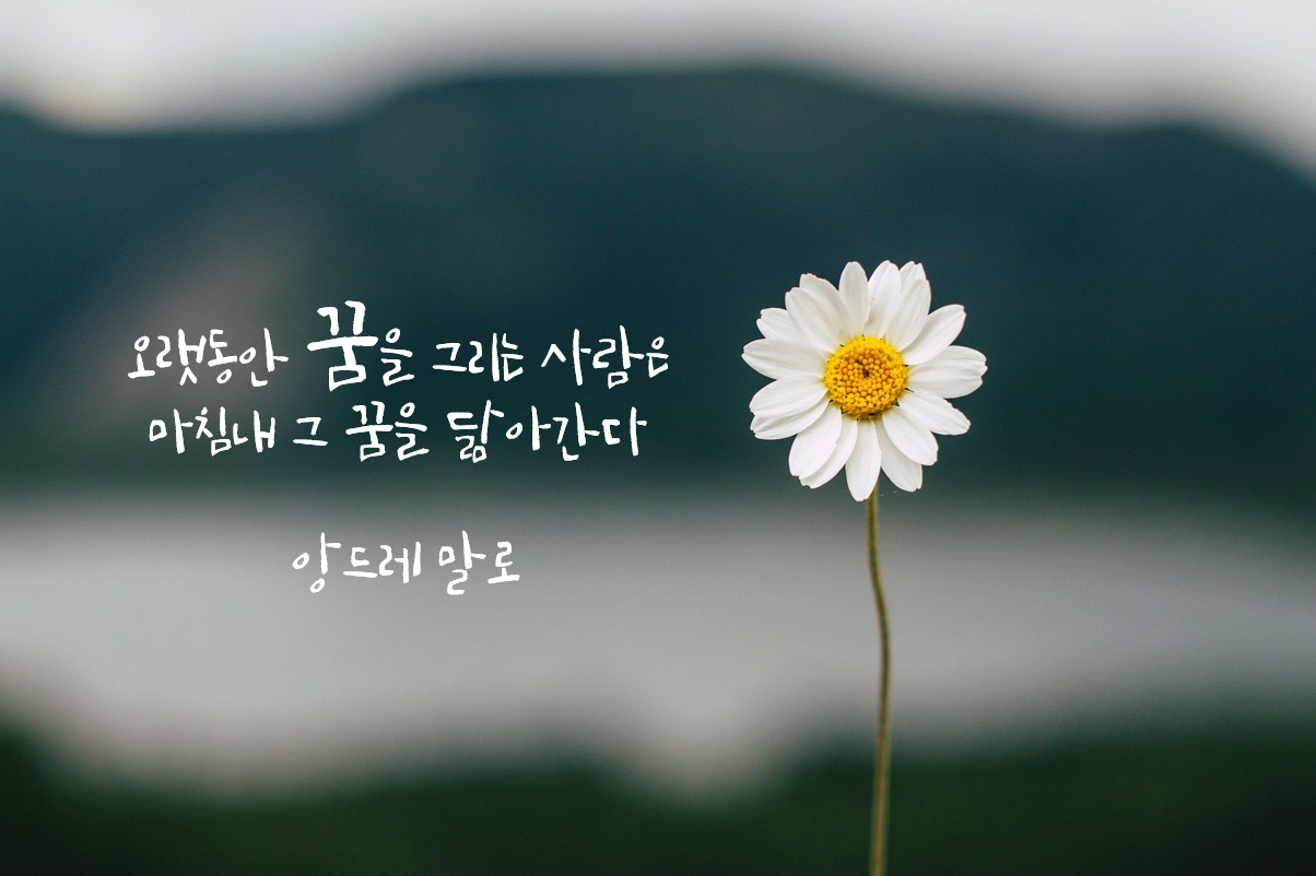 인생 명언 모음1