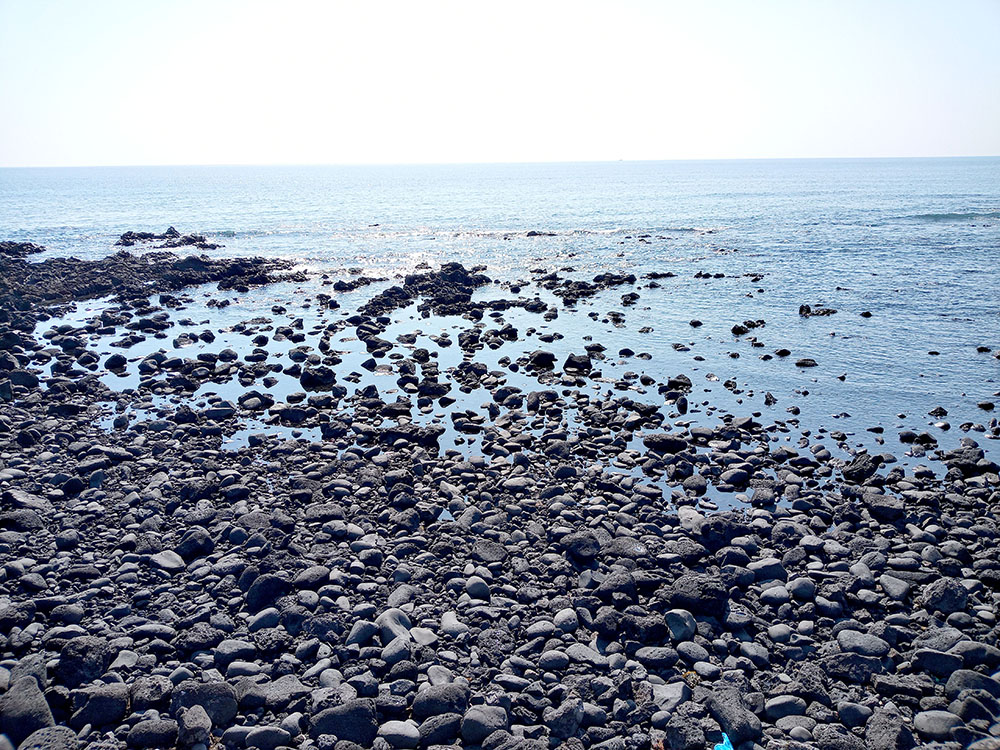 올레3B코스: 신산바닷가