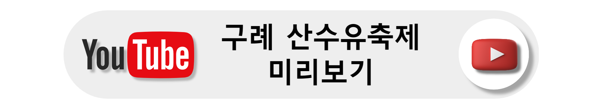 구례 산수유축제