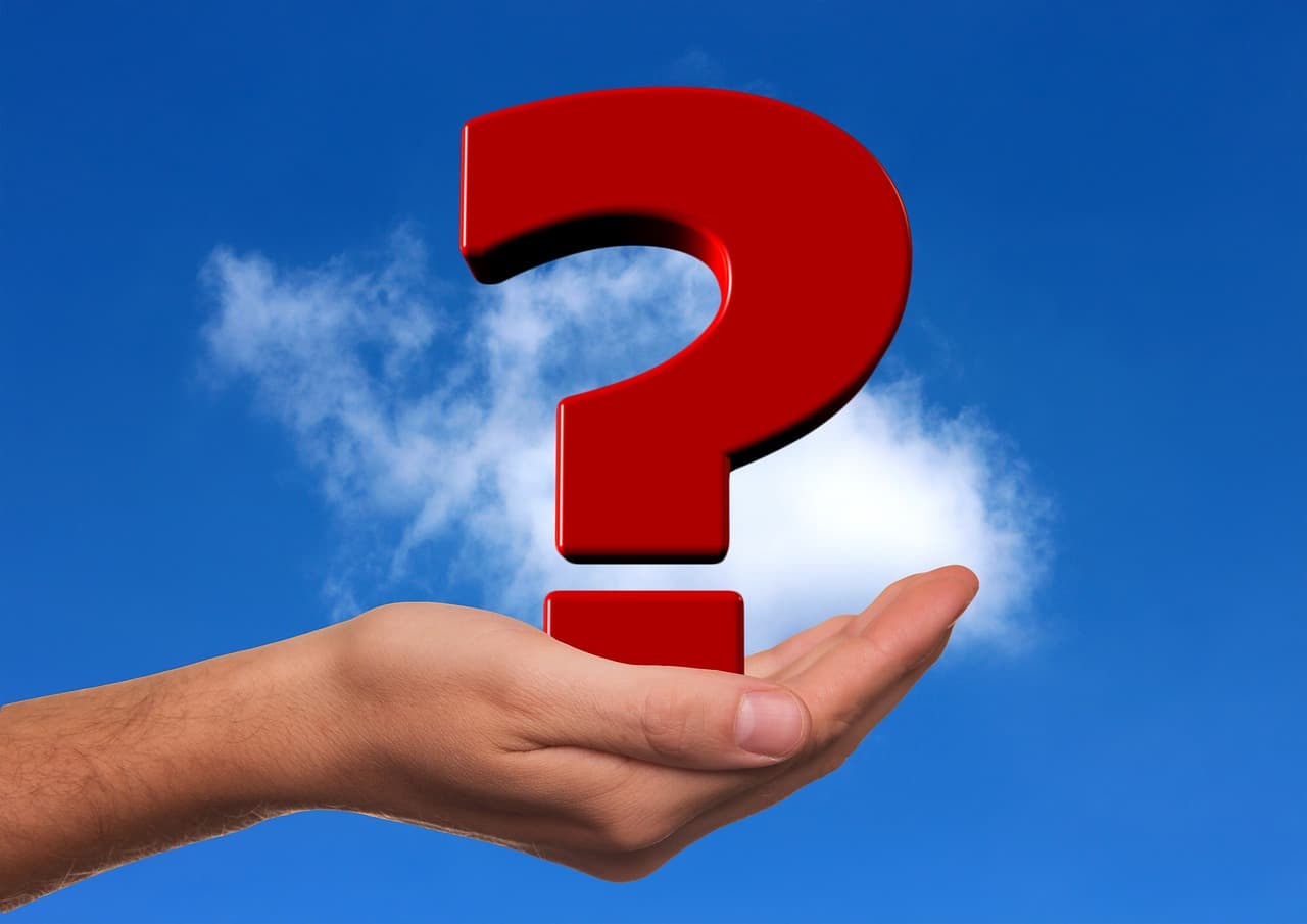 질문하는 뇌: 문제 해결력을 키우는 역질문 훈련법