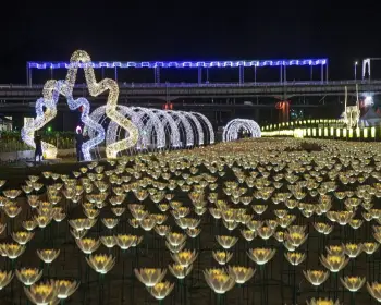 백제문화제 (공주, 부여)_10