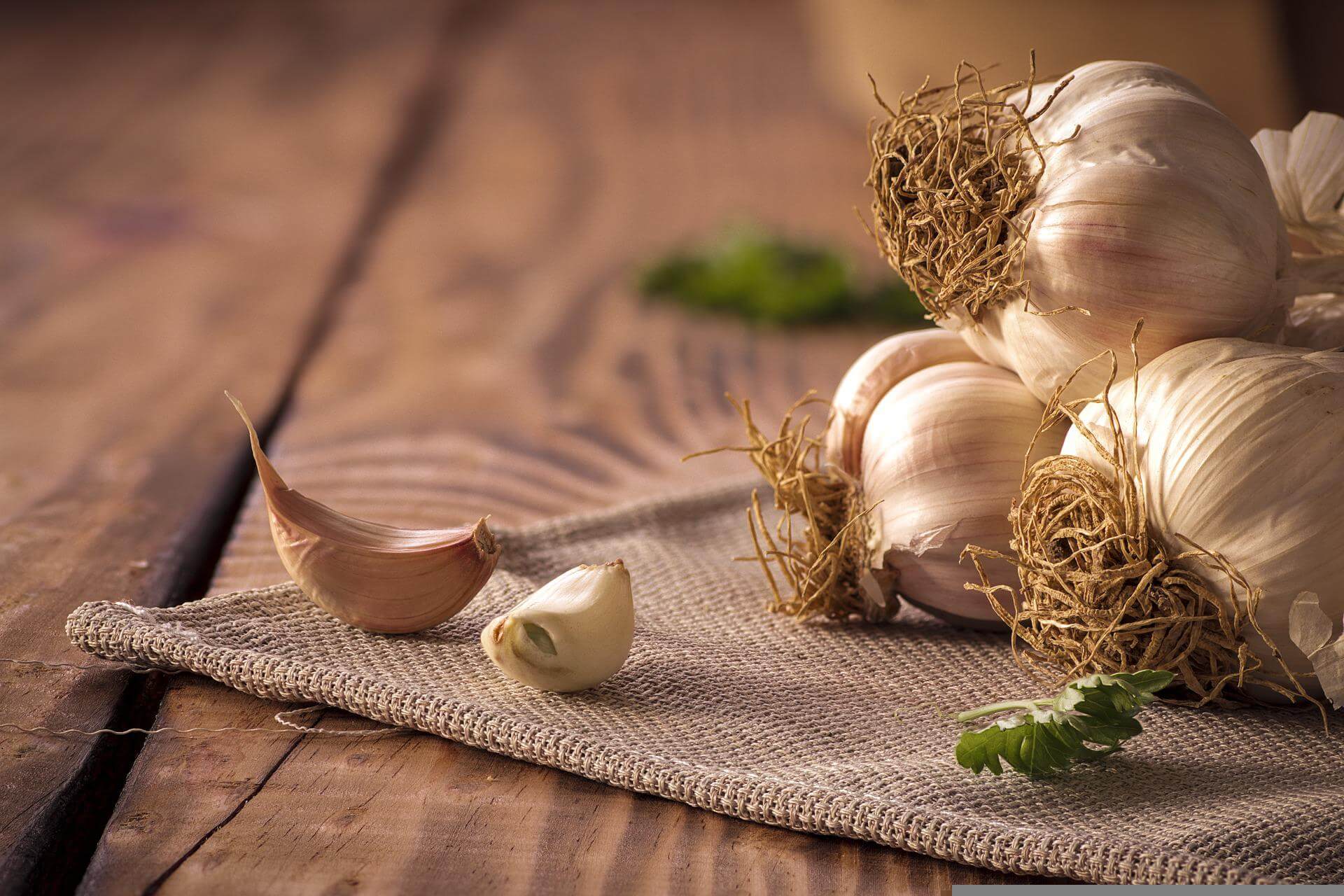 마늘 심는 시기