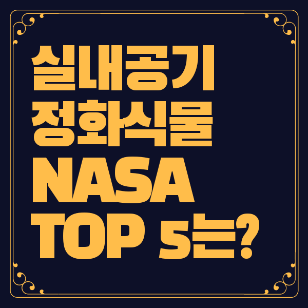 실내 공기정화식물 순위