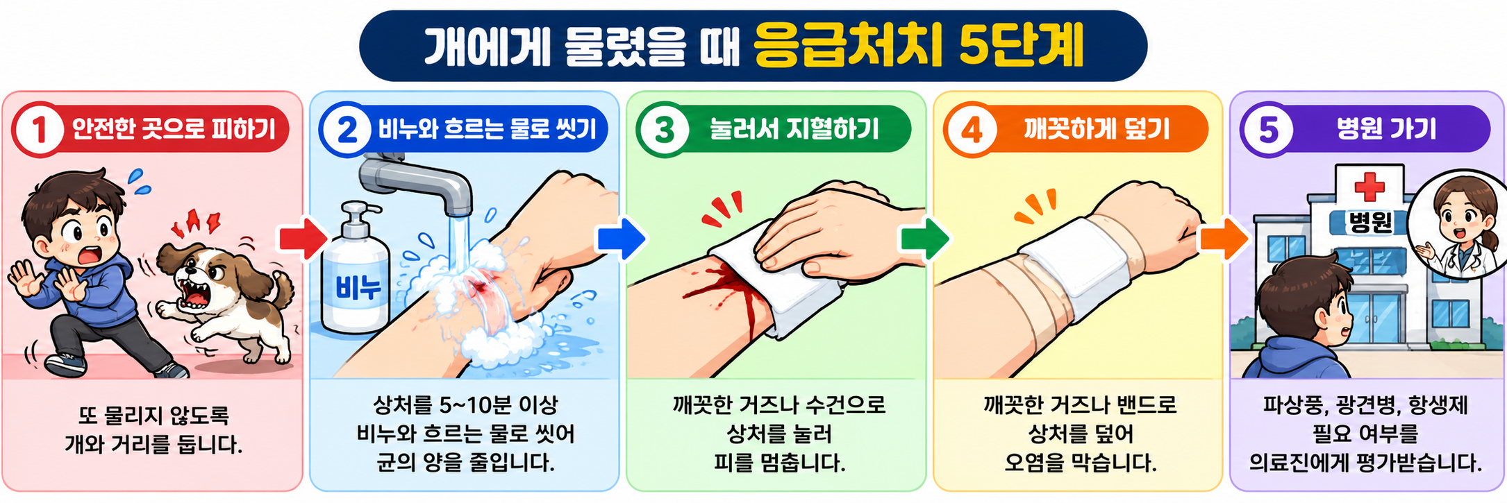 개에게 물렸을 때 응급처치 5단계 (피하기, 씻기, 지혈, 덮기, 병원)