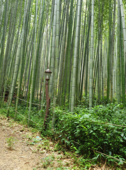 국내 여름 차박 여행지 유명한곳 BEST 6