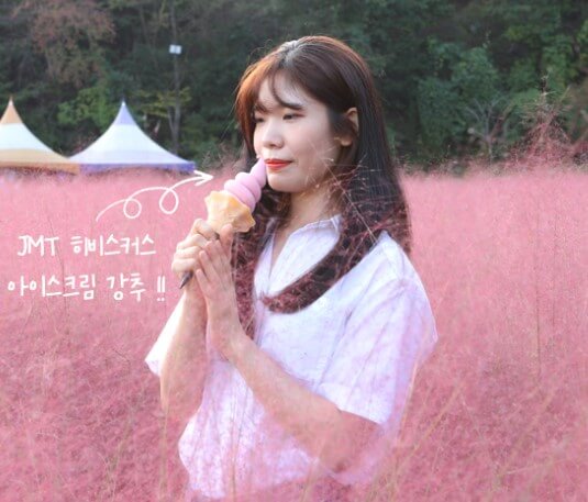 허브 아일랜드 핑크뮬리축제