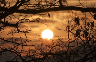 서울 근교 해돋이