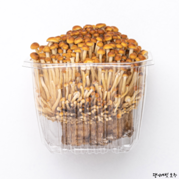 팽이버섯 효능│팽이버섯 효능 알고 드세요!