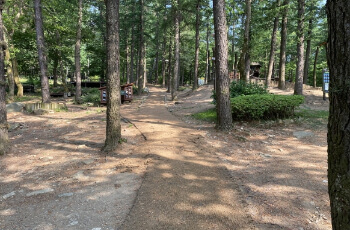 용인자연휴양림 야영장 캠핑장 2