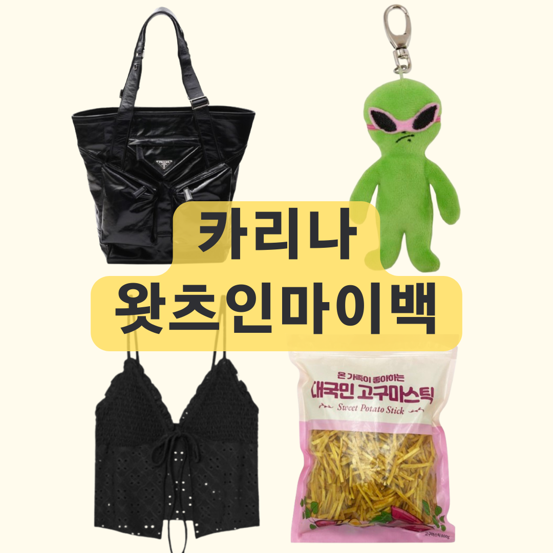 카리나 인마이백 프라다 가방, 수영복, 고구마 스틱, 키링 완벽 정리!