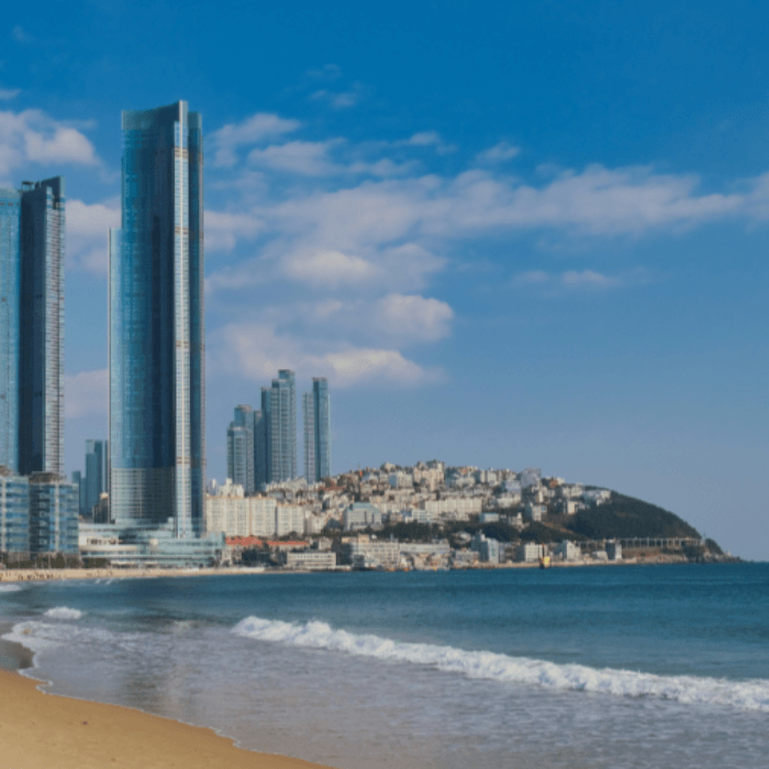 전국-축제-일정-안내-11월-12월-가볼만한곳