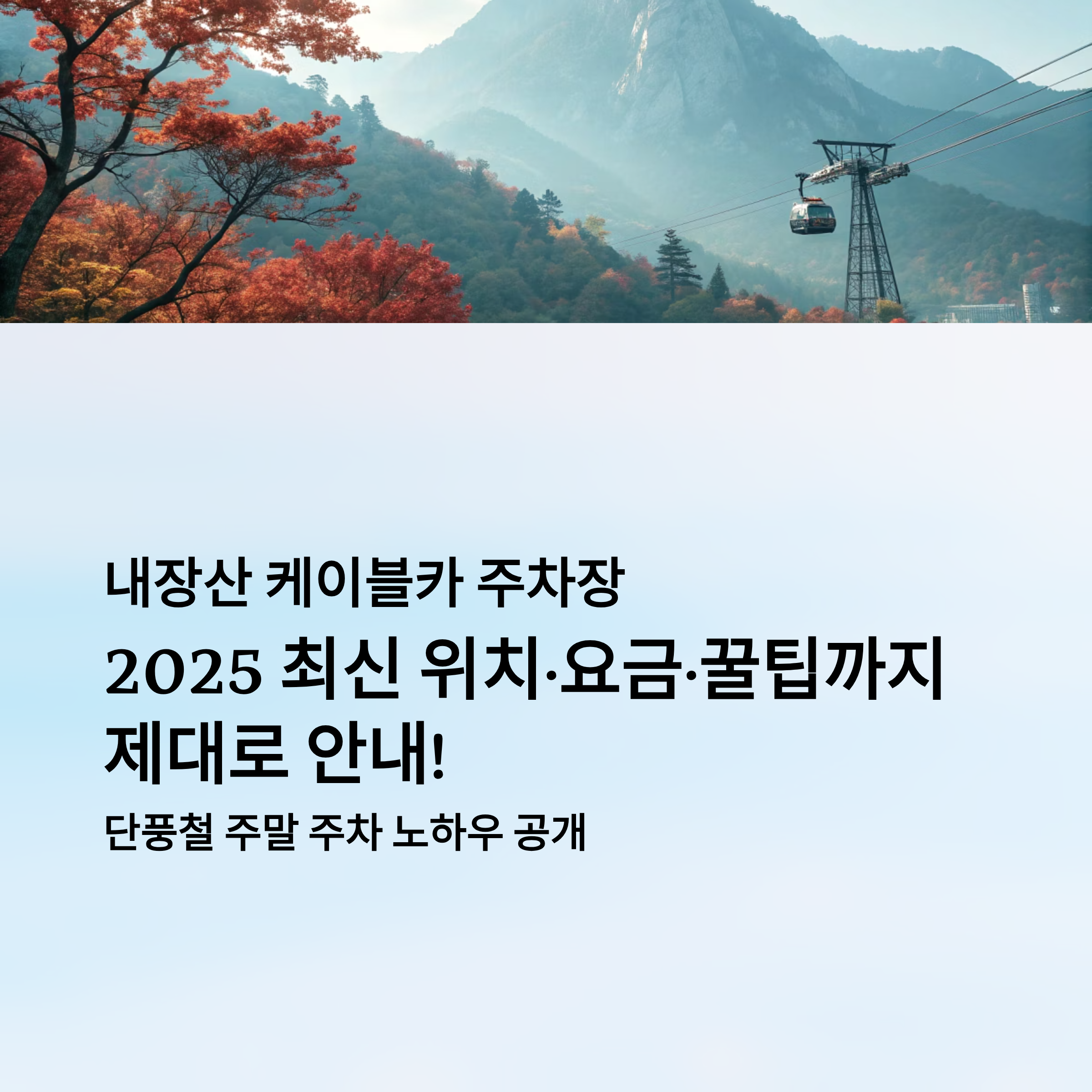 내장산 케이블카 주차장 알아보기
