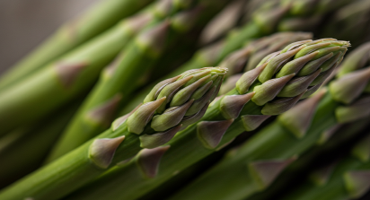 Asparagus