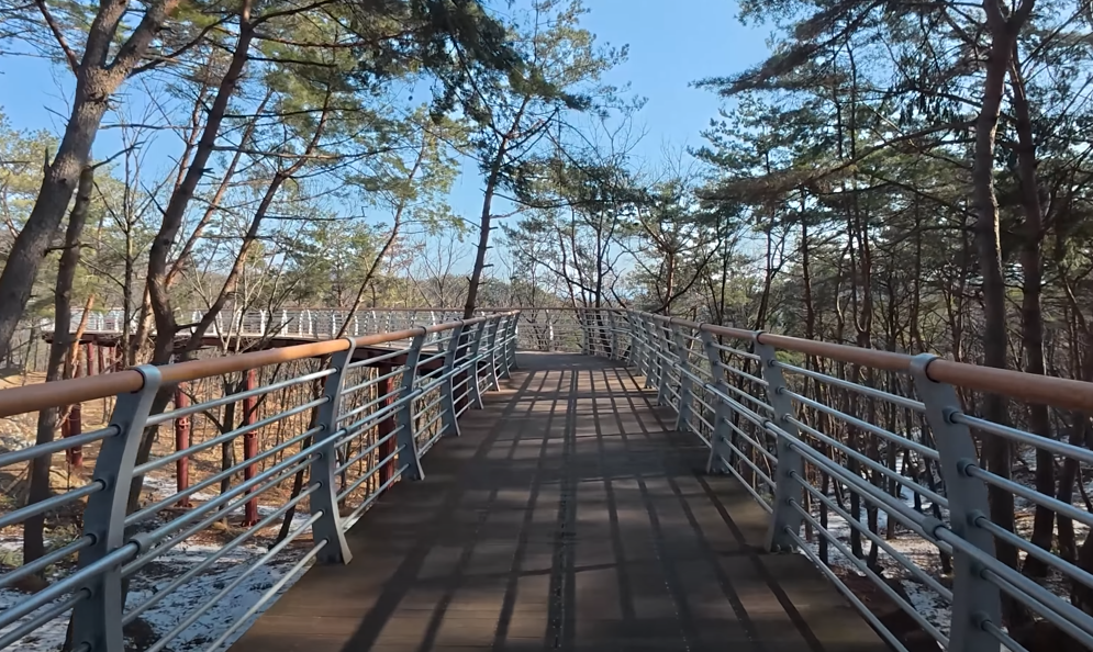 나무 위로 데크길이 연결되어 있고&amp;#44; 데크길을 쭉 따라 걸어 가면&amp;#44; 하늘정원에 닿게 됩니다.