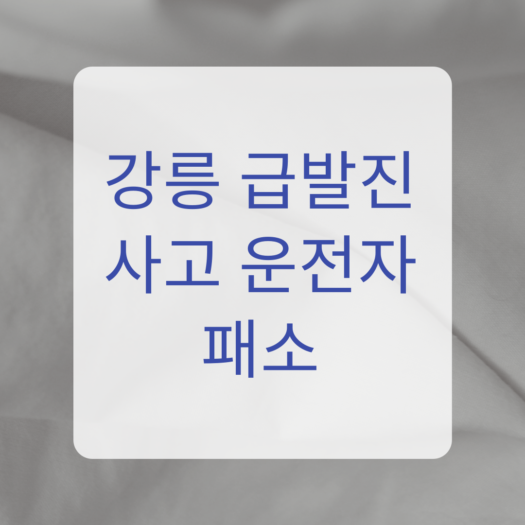급발진 운전자 패소 사건 관련 대표 이미지