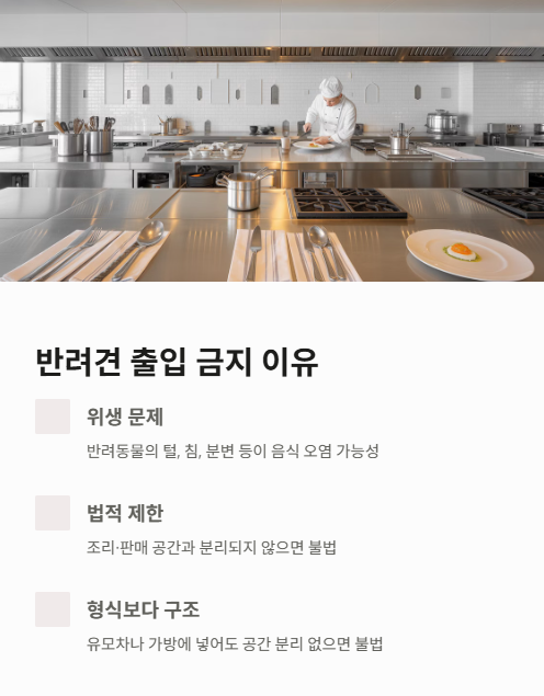 반려견 출입 금지 이유