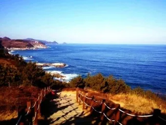 영천 가볼만한곳 베스트10 기억에 남을 멋진 명소 추천_21