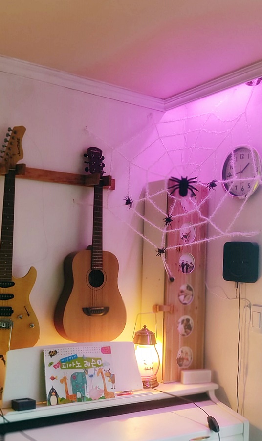 거미줄 장식을 천장 구석에 고정하고 거미를 실로 묶어놓음