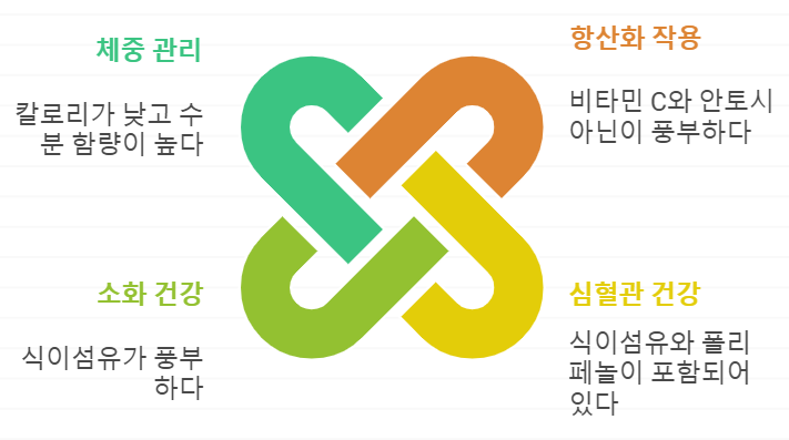 딸기 효능