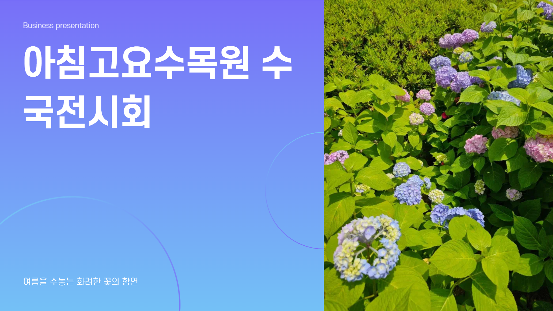 아침고요수목원 수국전시회