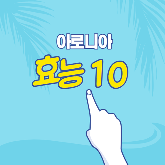 아로니아 효능