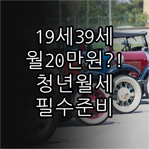 만19세39세 인천 청년월세 월 20..