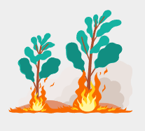 산불 피해 보상 지원금 신청 방법과 기준 안내