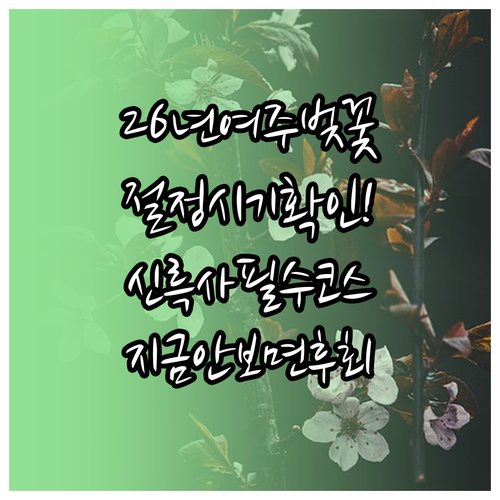 2026년 여주 벚꽃 절정 시기 및 ..
