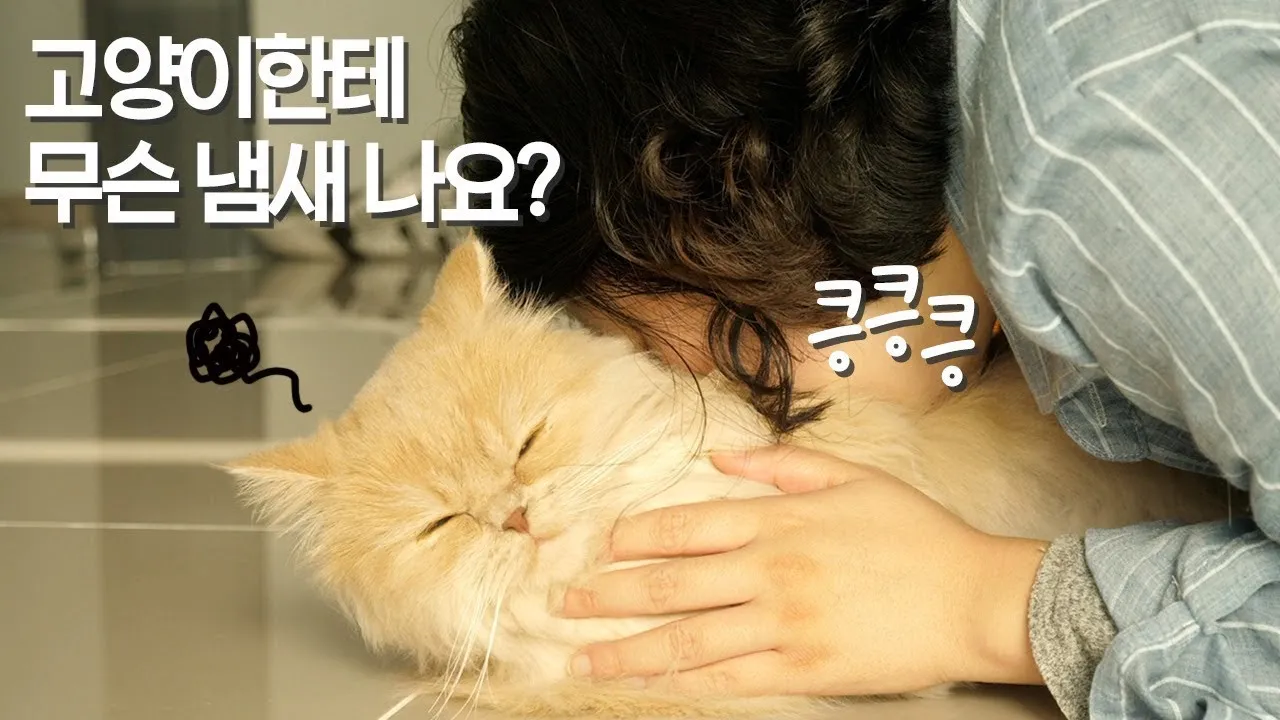 &amp;quot;고양이