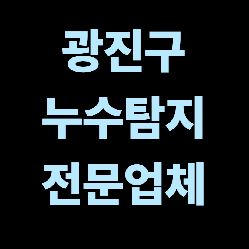 광진구 누수탐지 전문업체