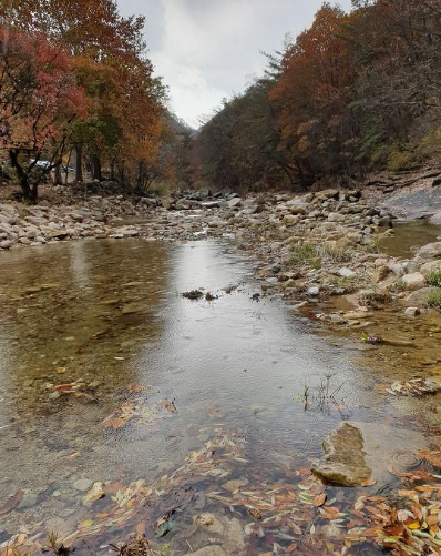 2025 월악산 단풍 절정 시기! 가을 명소 &amp; 등산 코스 완벽 정리