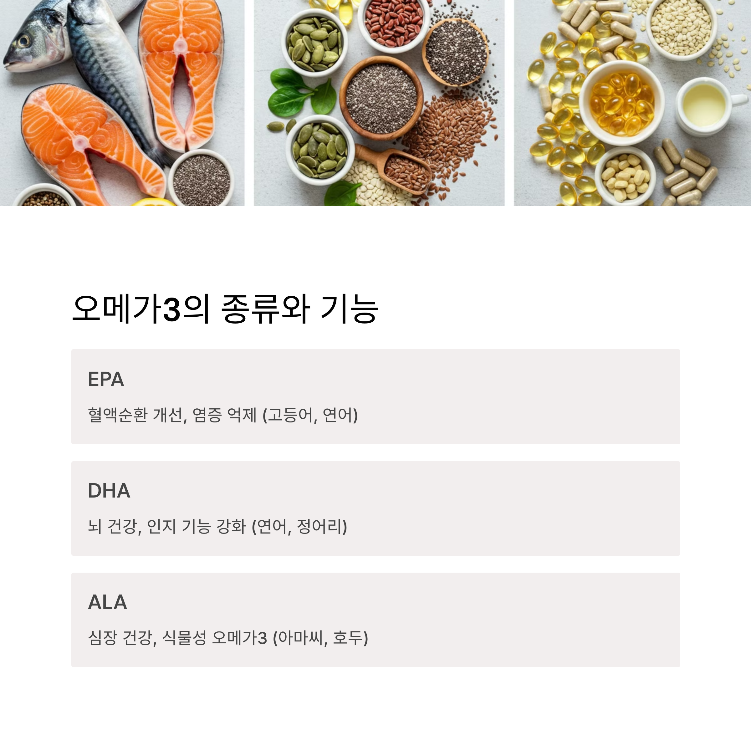 오메가3란? 기본 개념과 종류