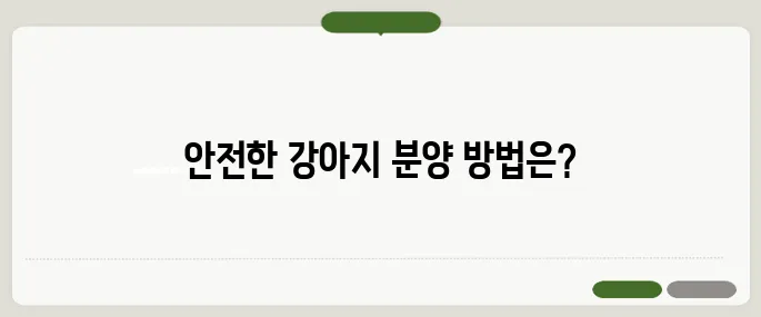 강아지무료분양 안전하게 알아보기