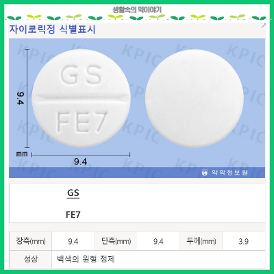 자이로릭정 성상